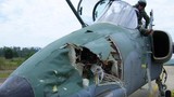 Vì sao chim trời khiến máy bay Su-30SM Nga rơi ở Syria?