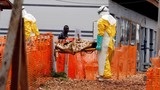 CHDC Congo và nỗi lo dịch Ebola bùng phát