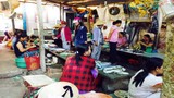 Rùng mình chợ cá độc chết người ở Thừa Thiên - Huế