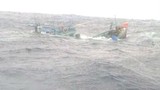 Bị tàu hàng nước ngoài đâm chìm, 7 ngư dân mất tích
