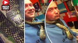 Video: Kinh ngạc cảnh rắn tự ăn thịt chính mình