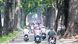 “Biểu tượng rừng xanh” giữa Sài Gòn sắp bị khai tử