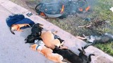 Dân vây đánh, đốt cháy xe máy của 2 kẻ trộm chó