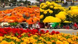 Đường phố TP.HCM ngập sắc hoa trưa 30 Tết, dân buôn méo mặt