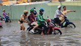 Các tỉnh Nam Bộ cấp tập ứng phó với bão Toraji