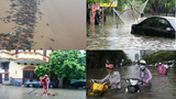 Những trận mưa giông, lũ lụt kinh hoàng trong lịch sử VN