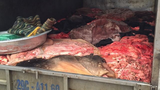 Bắt xe tải chở đầy da bò, nội tạng thối ở Hà Nội