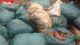 Kinh hoàng ruồi nhặng “vỡ tổ” bu đầy xưởng sản xuất mỡ bẩn