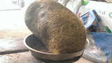 Những lần phát hiện cát lợn nghi tiền tỷ ở Việt Nam