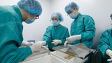 Vắc-xin COVID-19 “made in Vietnam” vượt tiến độ dự kiến  