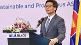 Việt Nam sẽ tích cực tham gia các chương trình hợp tác kỹ thuật của ASEAN