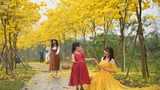 Hoa Phong Linh nở rộ, người dân check-in đường hoa đẹp nhất Hà Nội