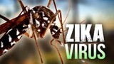 Việt Nam công bố 2 ca nhiễm Zika đầu tiên, một người đang mang thai