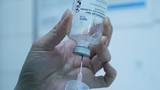 6 lọ thuốc giải độc bolutinum WHO viện trợ về đến TP HCM cứu người