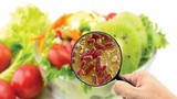 Thực phẩm bẩn “tàn phá” sức khỏe thế nào?