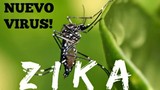 Bộ y tế cảnh báo virus ăn não từ muỗi ở VN