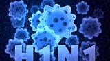 Nguyên tắc phòng chống cúm A H1N1 mùa đông xuân