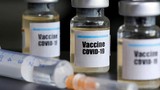 10 ngày thử nghiệm vắcxin ngừa COVID-19 của Việt Nam, 50 con chuột đều khỏe
