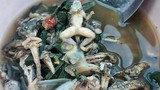 “Khóc thét” món nòng nọc ếch ướp cay kinh dị của Thái Lan
