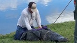 Cụ bà 85 tuổi tử vong dưới hàm cá sấu vì cứu chó cưng