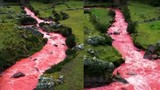 Kỳ lạ dòng sông nước chảy đỏ như máu ở Peru