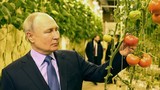 Tổng thống Putin lần đầu tiên thăm vùng cực đông Nga