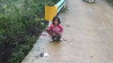 Kinh hoàng bé 8 tuổi bị chó cắn xé, lăn lộn trên đất