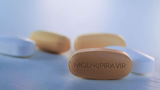 Thuốc Molnupiravir phát F0 ở TPHCM “quét sạch” virus sau 5 ngày, ai dùng được?