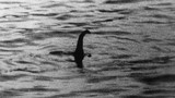 Loạt ảnh cực chấn động “tóm sống" quái vật hồ Loch Ness 