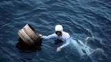 Bí mật nhà nghề của những thợ lặn bắt bào ngư dâng vua ở Nhật