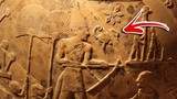 Bí ẩn cuộc đời “Vua Bọ Cạp” nổi tiếng Ai Cập cổ đại