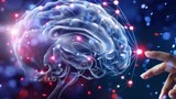 Não bò sát, não thú, não người VTV24: Giả thuyết 3 cấp độ não sai lầm?