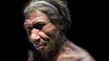 Giải mã bất ngờ: Người Neanderthals tuyệt chủng vì... săn bắt thỏ?