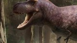 Lý do rùng rợn khiến “tay” của bạo chúa T-rex hầu như biến mất