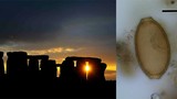 Sự thật kinh ngạc về những người xây bãi đá cổ Stonehenge 