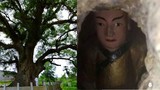 Tượng Phật nghìn tuổi nằm gọn trong hốc cây: Xuất hiện từ một vết nứt? 