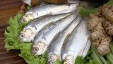 Loại cá “nhà nghèo” trước không ai ăn, nay thành đặc sản 120.000 đồng/kg