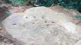 Khối đá cổ Mù Cang Chải có gì khiến giới khảo cổ xôn xao? 