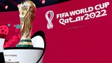 Vì sao World Cup 2022 phá lệ, tổ chức vào mùa đông ở Qatar? 