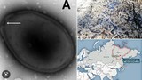 Băng tan chảy, chuyên gia lo ngay ngáy virus cổ đại “hồi sinh" 