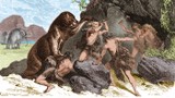 Bất ngờ dấu vết lạ trong hang động 320.000 tuổi: Của loài người khác? 