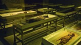 Báo động loạt xác ướp cổ nhất thế giới có dấu hiệu phân hủy 
