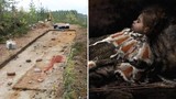 Mở mộ cổ 8.000 tuổi, giật mình thấy trẻ em chôn cùng "quái thú" 
