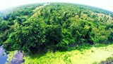 Bí mật ẩn giấu trong rừng U Minh được xếp loại quý hiếm trên TG 