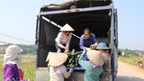 Phú Thọ: Dân thắng lớn vì trồng bí xanh lại thu được “vàng”