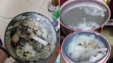 Hậu ăn Tết, netizen tá hỏa với thứ để quên trong nồi cơm