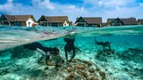 'Lạc trôi' đến 5 đảo san hô tuyệt nhất thế giới