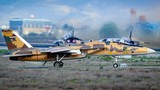 Sau nửa thế kỷ, bao nhiêu chiếc F-14 Tomcat của Iran còn bay được?