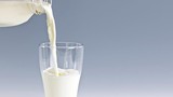 Sai lầm khi cho trẻ uống sữa tươi cha mẹ nào cũng cần biết