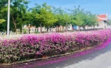 Check-in “thanh cảnh” tại vườn hoa tuyết sơn phi hồng TP. HCM